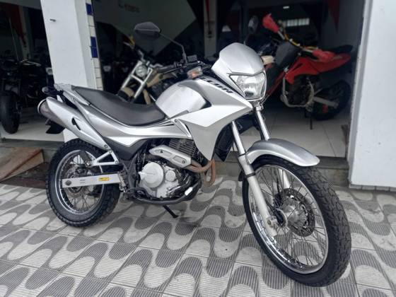 falcon cinza