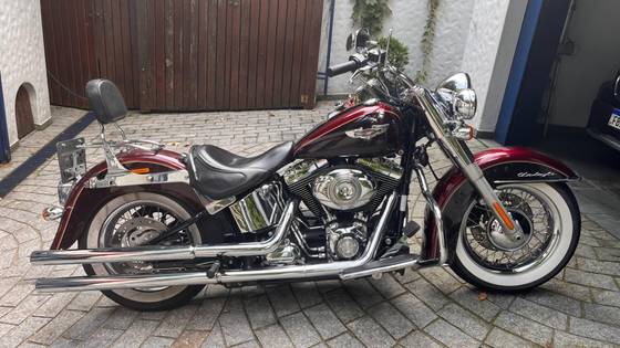 harley softail hard bolsas