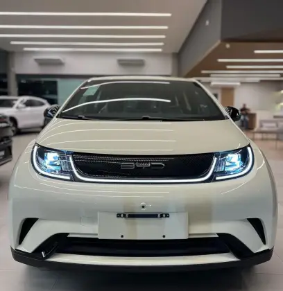 Carro 44,9 KW ELÉTRICO GS