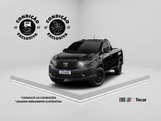 Carro 1.3 FIREFLY FLEX ENDURANCE CS MANUAL