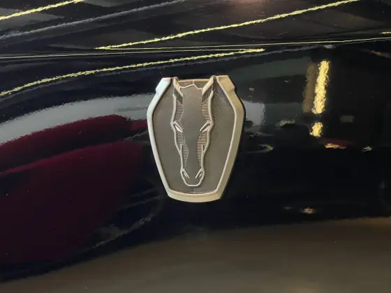 Carro 5.0 V8 GASOLINA DARK HORSE SELECTSHIFT