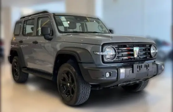 Carro 2.0 HI4-T PHEV 4X4 9HAT