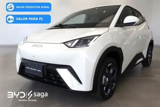 Carro 38 KW ELÉTRICO GL