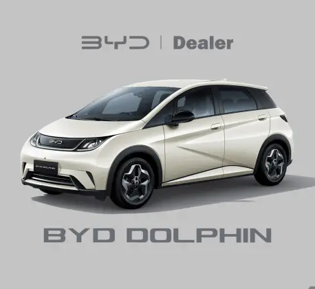 Carro 44,9 KW ELÉTRICO GS