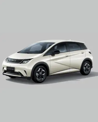 Carro 44,9 KW ELÉTRICO GS