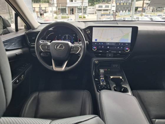 LEXUS NX 350h 2.5 16V VVT-I HYBRID LUXURY CVT AWD — foto 15