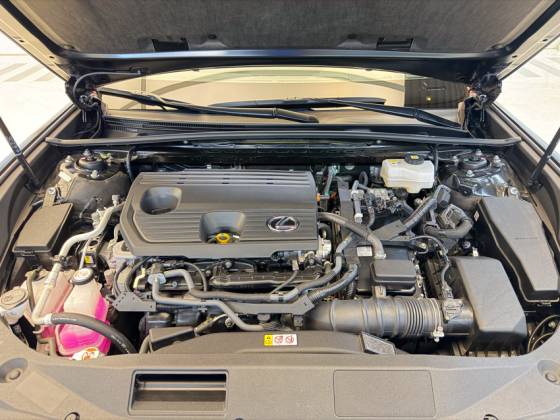 LEXUS ES 300h 2.5 16V HÍBRIDO LUXURY CVT — foto 6