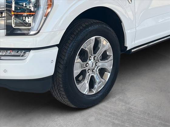 FORD F-150 5.0 V8 GASOLINA CD PLATINUM FX4 AUTOMÁTICO — foto 6