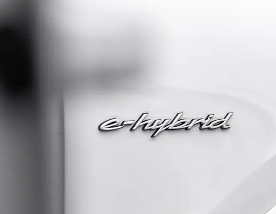 PORSCHE CAYENNE 3.0 V6 E-HYBRID COUPÉ AWD TIPTRONIC S — foto 14