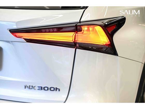LEXUS NX 300h 2.5 16V VVT-I HYBRID F-SPORT CVT AWD — foto 10