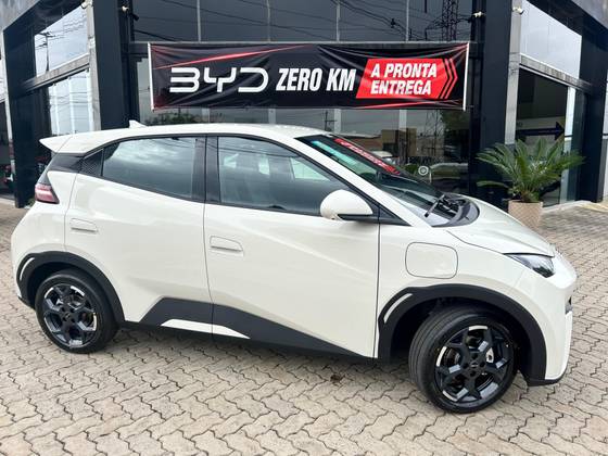 Carro 44,9 KW ELÉTRICO GS