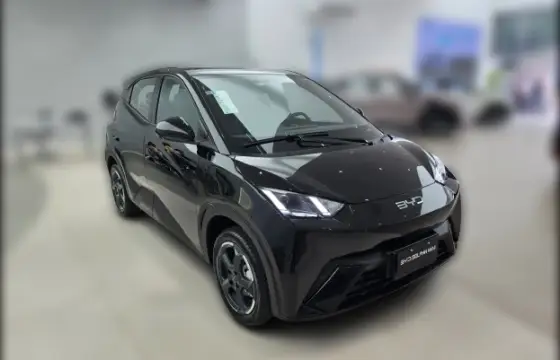 Carro 38 KW ELÉTRICO GS