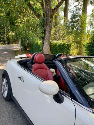 MINI-ROADSTER-1.6 S 16V TURBO GASOLINA 2P AUTOMÁTICO MINI-ROADSTER-2012
