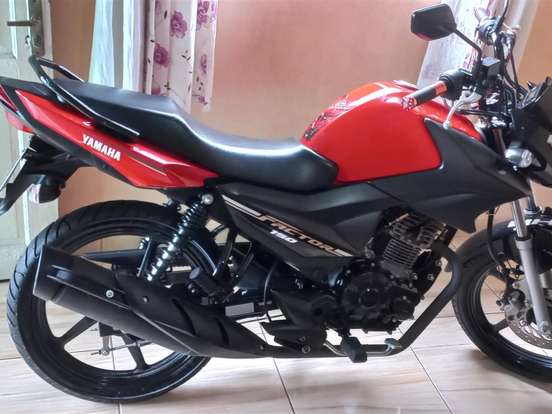 YAMAHA-FACTOR 150ED YAMAHA-FACTOR 150ED-2020