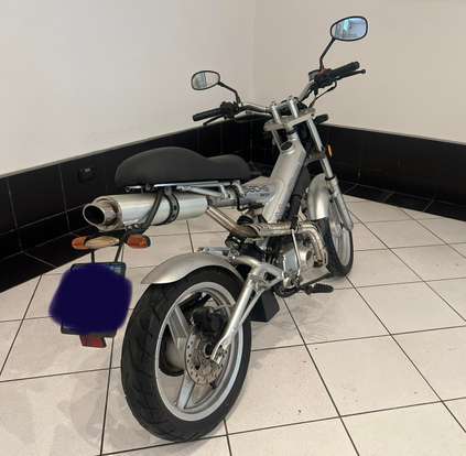 SACHS-MADASS-2010
