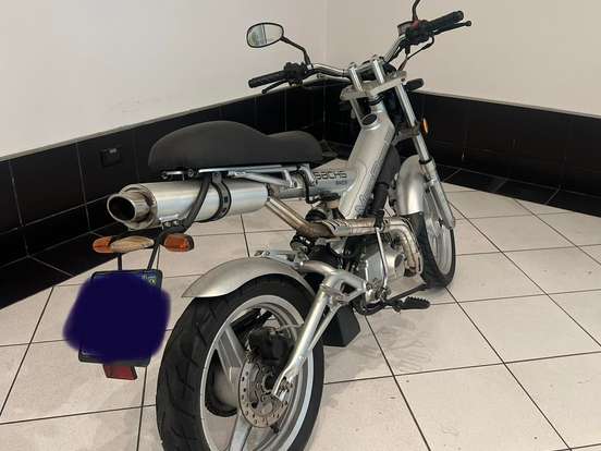 SACHS-MADASS SACHS-MADASS-2010