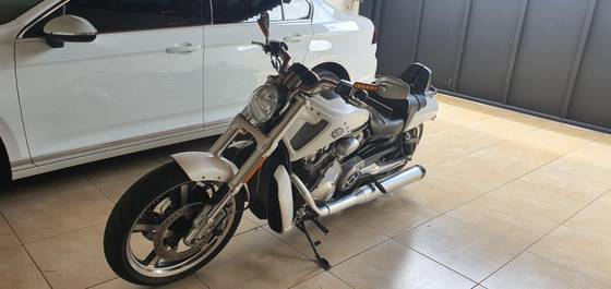 HARLEY-DAVIDSON V-ROD MUSCLE 