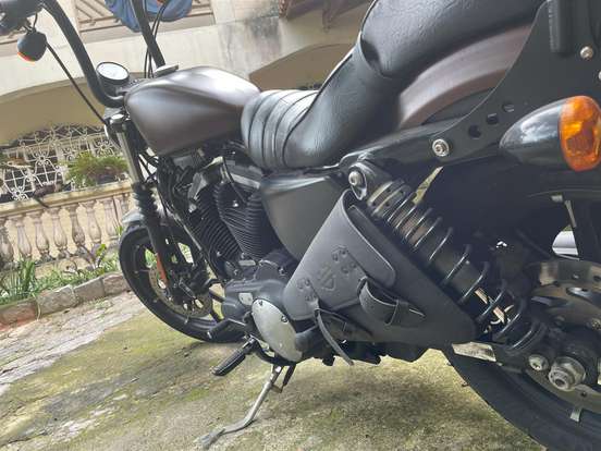 HARLEY-DAVIDSON-SPORTSTER IRON 883-2019