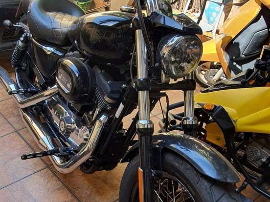 HARLEY-DAVIDSON-SPORTSTER 1200 CUSTOM HARLEY-DAVIDSON-SPORTSTER 1200 CUSTOM-2018