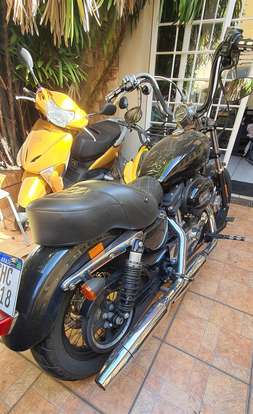 HARLEY-DAVIDSON-SPORTSTER 1200 CUSTOM-2018
