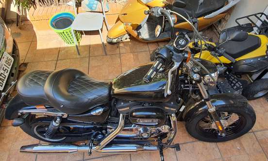 HARLEY-DAVIDSON-SPORTSTER 1200 CUSTOM-2018