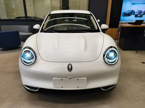 GWM ORA 03 48 KW ELÉTRICO SKIN