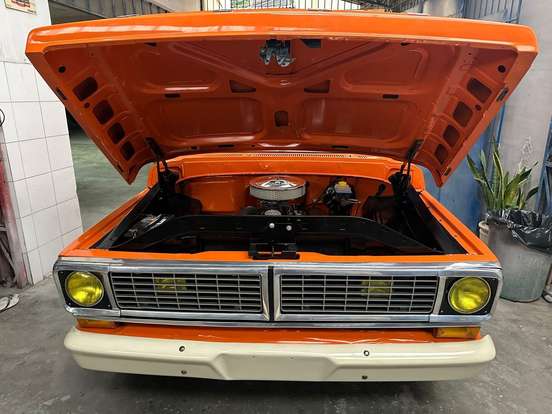 FORD-F-100-3.6 SUPER GASOLINA 2P MANUAL FORD-F-100-1977