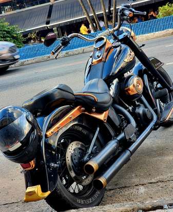 HARLEY-DAVIDSON-SOFTAIL DELUXE HARLEY-DAVIDSON-SOFTAIL DELUXE-2008