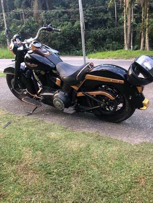 HARLEY-DAVIDSON-SOFTAIL DELUXE HARLEY-DAVIDSON-SOFTAIL DELUXE-2008