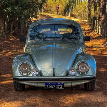 VOLKSWAGEN FUSCA 1.6 8V ÁLCOOL 2P MANUAL