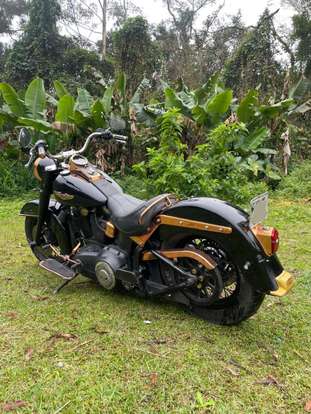 HARLEY-DAVIDSON-SOFTAIL DELUXE-2008