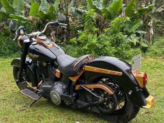 HARLEY-DAVIDSON-SOFTAIL DELUXE HARLEY-DAVIDSON-SOFTAIL DELUXE-2008