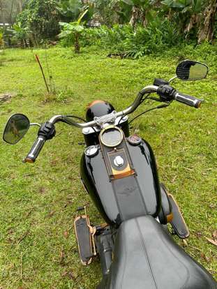 HARLEY-DAVIDSON-SOFTAIL DELUXE HARLEY-DAVIDSON-SOFTAIL DELUXE-2008