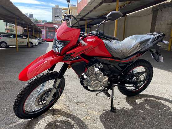 SHINERAY-SHI 175-2024