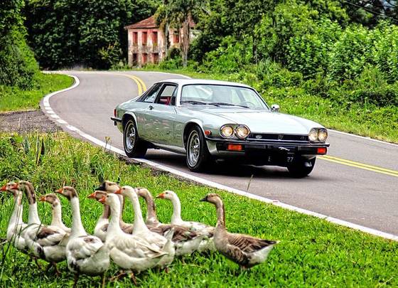 JAGUAR XJ-S 5.3 V12 GASOLINA AUTOMÁTICO