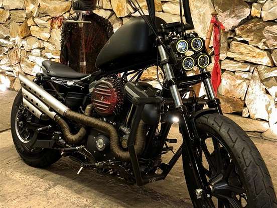 HARLEY-DAVIDSON-SPORTSTER XL 883N IRON HARLEY-DAVIDSON-SPORTSTER XL 883N IRON-2017