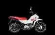 HONDA POP 110i HONDA POP 110i