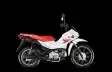 HONDA-POP 110i-2025