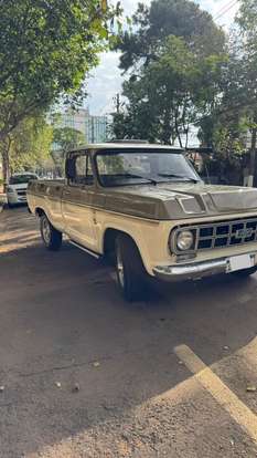 CHEVROLET-D10-1984