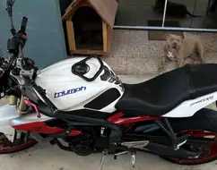 TRIUMPH STREET TRIPLE 675 ABS TRIUMPH STREET TRIPLE 675 ABS