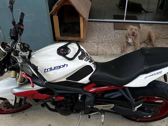TRIUMPH-STREET TRIPLE 675 ABS TRIUMPH-STREET TRIPLE 675 ABS-2014