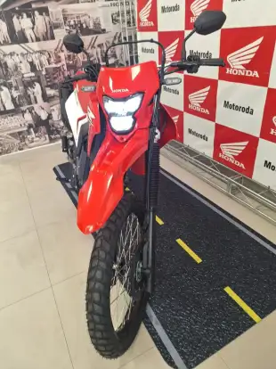 HONDA-XR 300L TORNADO-2024