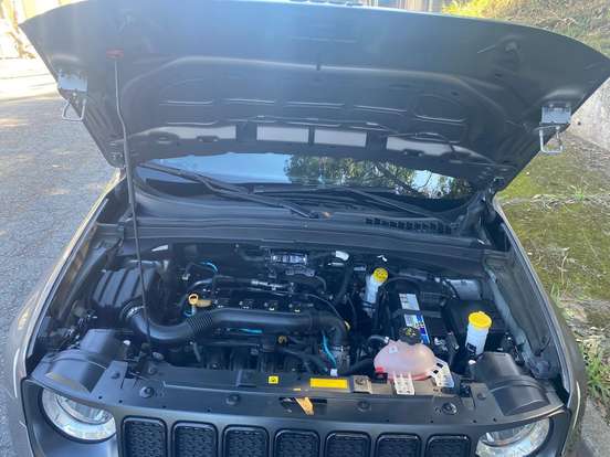 JEEP-RENEGADE-2021