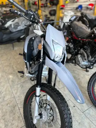 SHINERAY SHI 175 