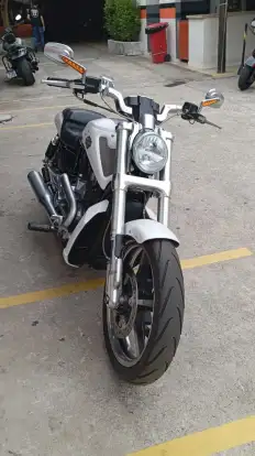 HARLEY-DAVIDSON-V-ROD MUSCLE HARLEY-DAVIDSON-V-ROD MUSCLE-2013