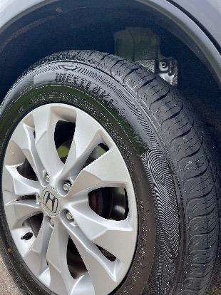 HONDA-CRV-2012