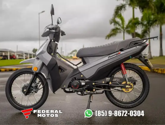 SHINERAY PHOENIX S 50 SHINERAY PHOENIX S 50