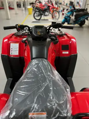 HONDA-TRX 420 FOURTRAX 4X4-2024