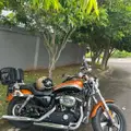 HARLEY-DAVIDSON SPORTSTER 1200 CUSTOM CA LIMITED HARLEY-DAVIDSON SPORTSTER 1200 CUSTOM CA LIMITED