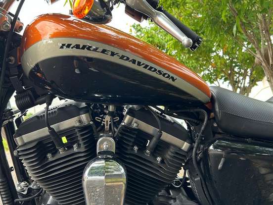 HARLEY-DAVIDSON-SPORTSTER 1200 CUSTOM CA LIMITED HARLEY-DAVIDSON-SPORTSTER 1200 CUSTOM CA LIMITED-2014